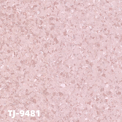 TJ-9481