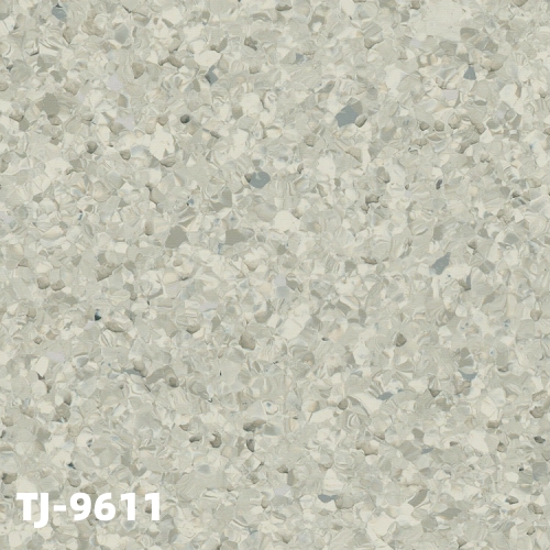 TJ-9611