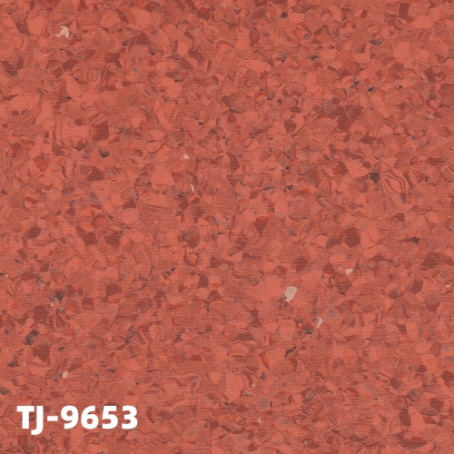 TJ-9653