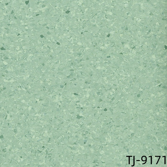 TJ-9171