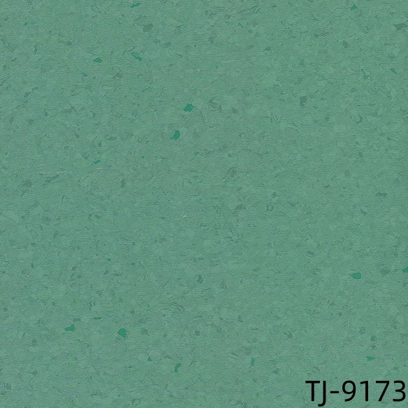 TJ-9173