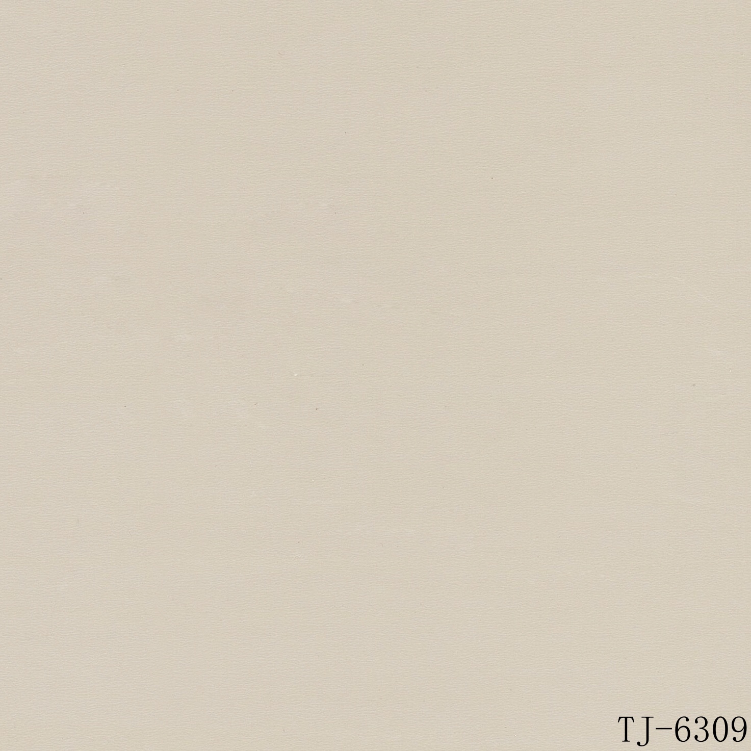 TJ-6309