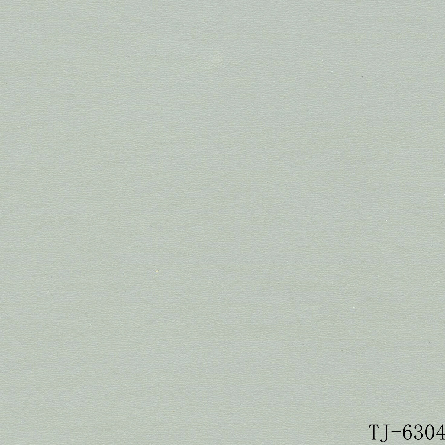 TJ-6304