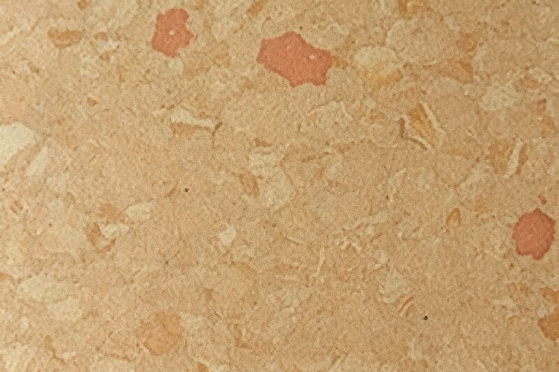 TJ-7907