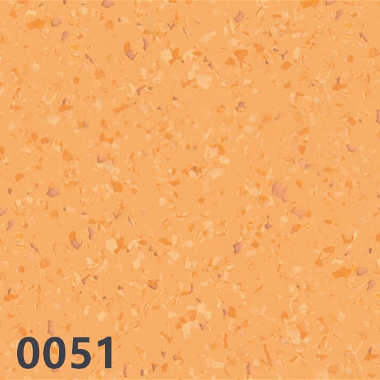 0051