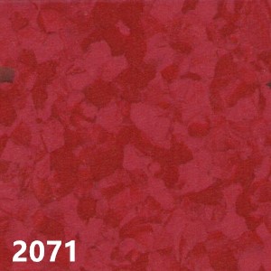 金盾2071